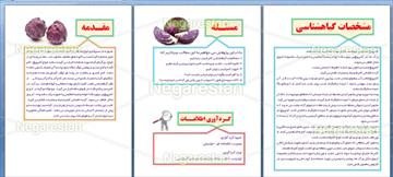 دانلود طرح جابربن حیان درباره کلم قرمز