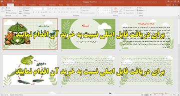 دانلود طرح جابر ابن حیان در  مورد مراحل رشد قورباغه